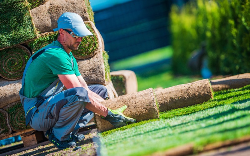 Worker rolling out sod