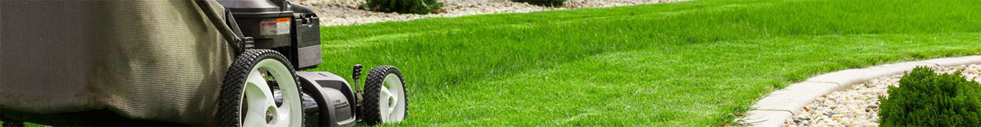 Full Service Lawn Care in Albany & Saratoga Springs, NY