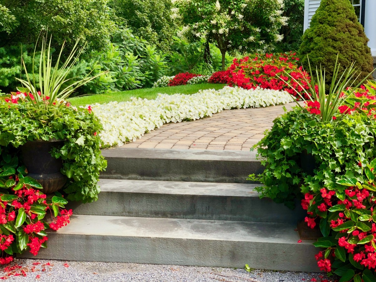 Grasshopper Gardens | Capital Region Landscaping Experts