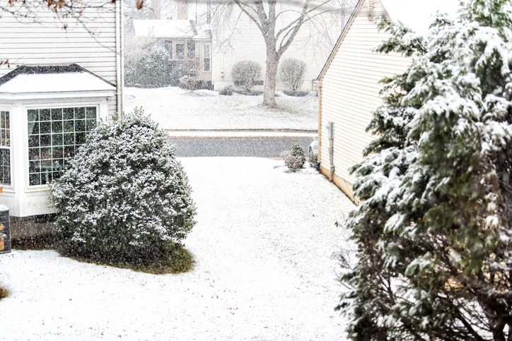 Snow-covered suburban yard with a rounded shrub, evergreen tree, and beige houses as light snow falls.